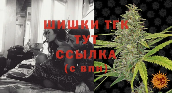 твердый Верхний Тагил