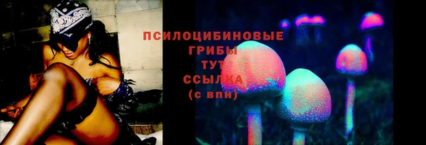 твердый Верхний Тагил