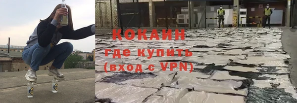 дмт Бородино