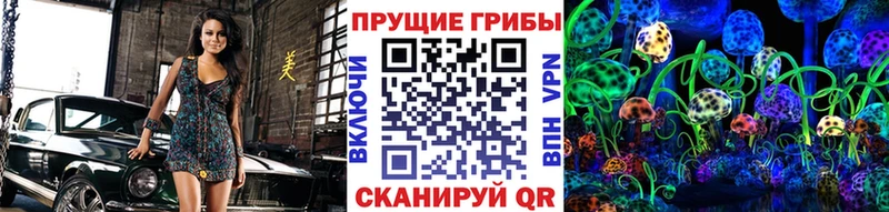 Купить закладки  Суровикино  Псилоцибиновые грибы GOLDEN TEACHER 